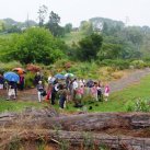 The first kowhai goes in- January 2012- Cambridge Tree Trust